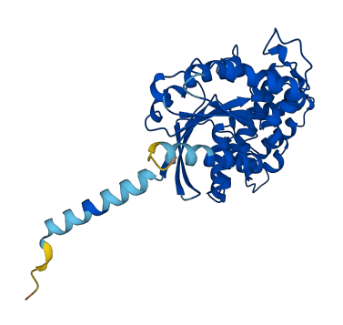 GNAT1 3D structure
