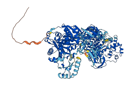 PC 3D structure