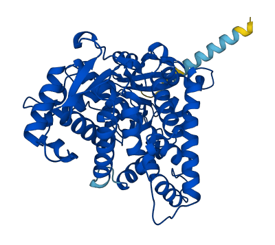 CYP2A6 3D structure