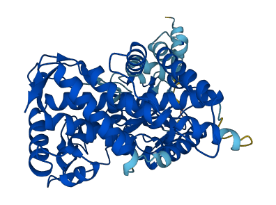 Cyp2c12 3D structure
