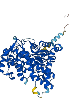 CYP19A1 3D structure