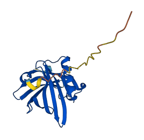 Mup1 3D structure