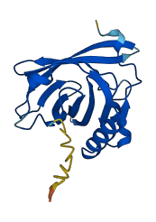 Mup2 3D structure
