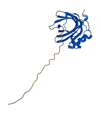 Mup5 3D structure