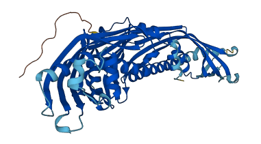 CETP 3D structure