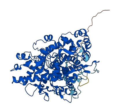 EPX 3D structure