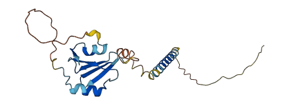 SFTPC 3D structure