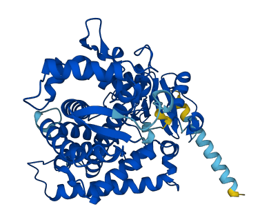 Cyp2a1 3D structure