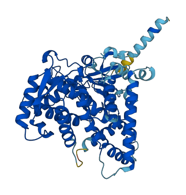 CYP2C9 3D structure