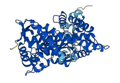 Cyp2d9 3D structure