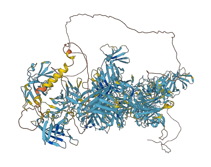 IGF2R 3D structure