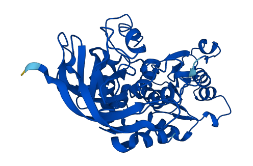 ADH5 3D structure