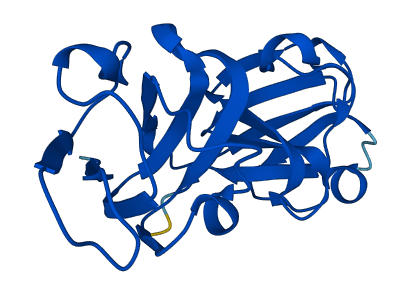 CRYGA 3D structure