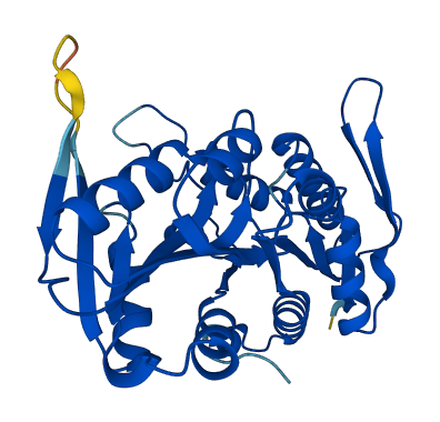 PRPS2 3D structure