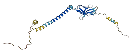 CD79A 3D structure