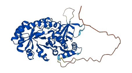 ODC1 3D structure