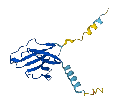 VPREB1 3D structure