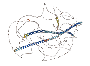 NEFH 3D structure