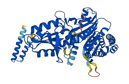 HARS1 3D structure