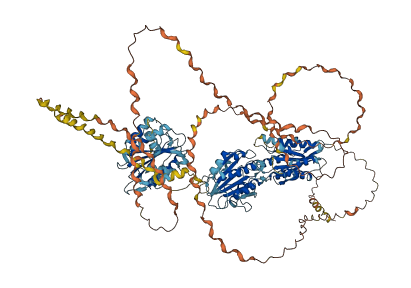 COL6A1 3D structure