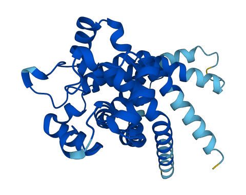 SLC25A4 3D structure
