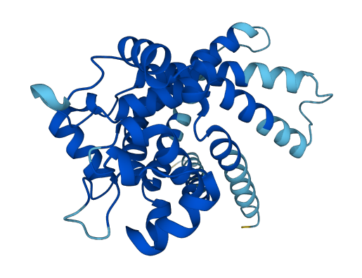SLC25A6 3D structure