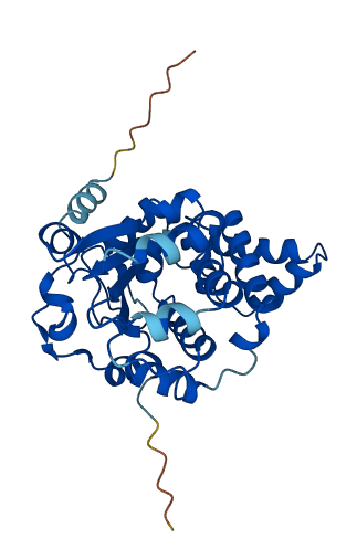 RLBP1 3D structure