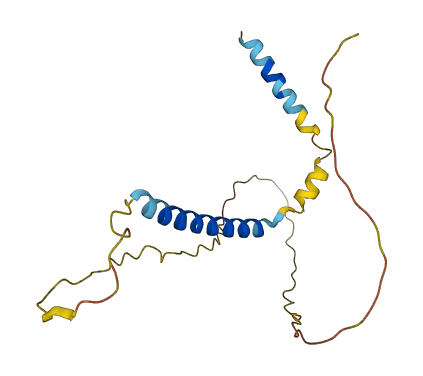 PTHLH 3D structure