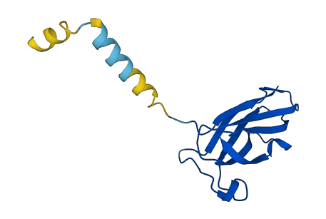 PIP 3D structure