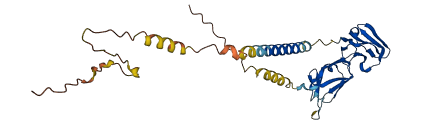 FCGR2A 3D structure