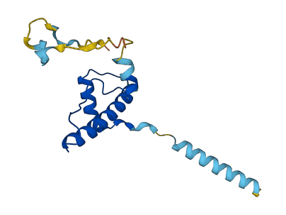 Ctla2a 3D structure