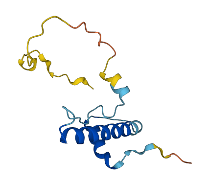 Ctla2b 3D structure