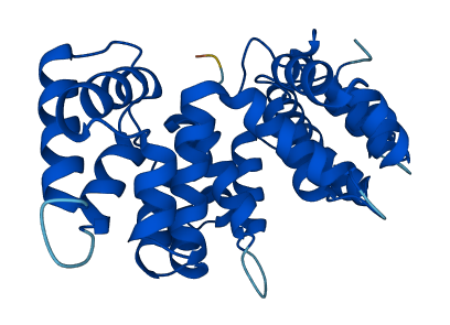 ANXA3 3D structure