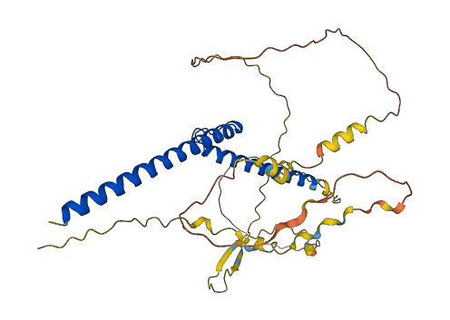 MYCL 3D structure