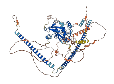 SKI 3D structure