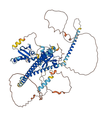SKIL 3D structure