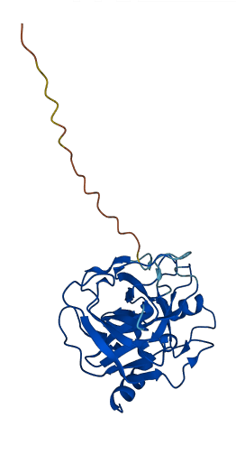 Try4 3D structure