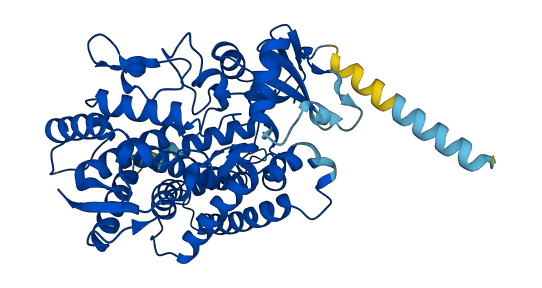 Cyp2b9 3D structure