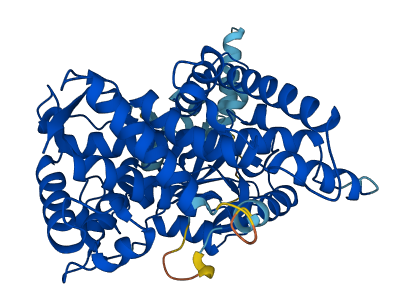 Cyp2b10 3D structure