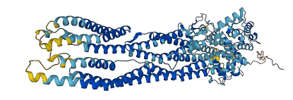 ACTN1 3D structure