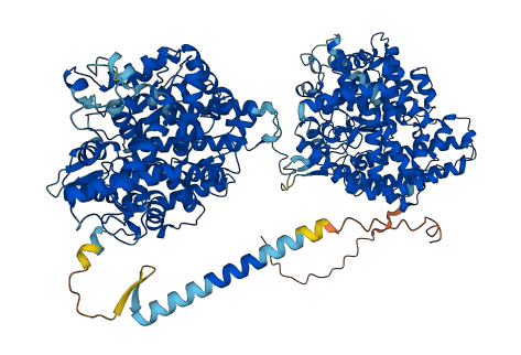 ACE 3D structure