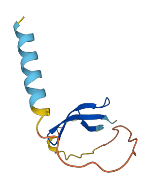 DEFA4 3D structure