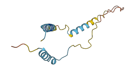 MLN 3D structure