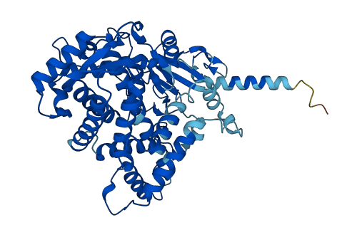 Cyp2d3 3D structure