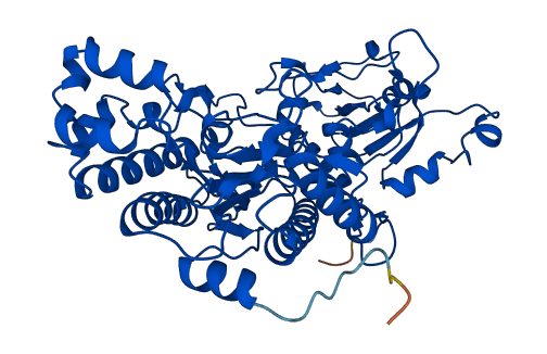 PEPD 3D structure