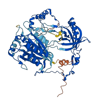 XRCC6 3D structure