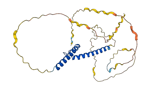 LYL1 3D structure