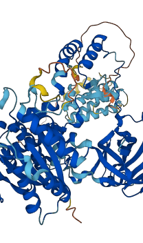 XRCC5 3D structure