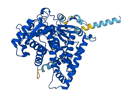 Cyp2b3 3D structure