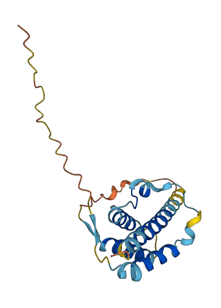 IL7 3D structure